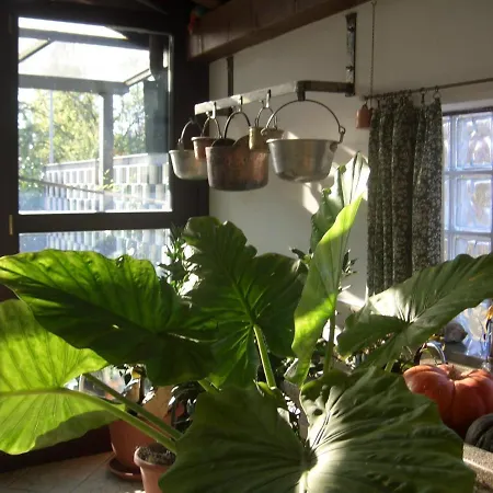 Bed & Breakfast Scaccia Pensieri