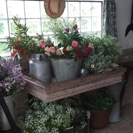 Scaccia Pensieri Tarcento