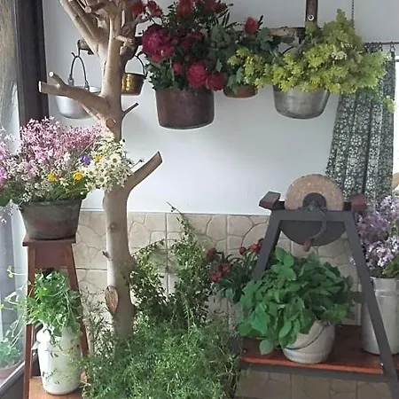 Scaccia Pensieri Bed and breakfast